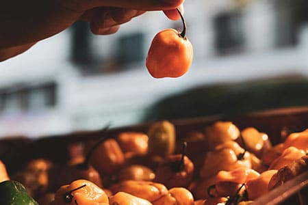 Equipo preparando pasta de habanero artesanal